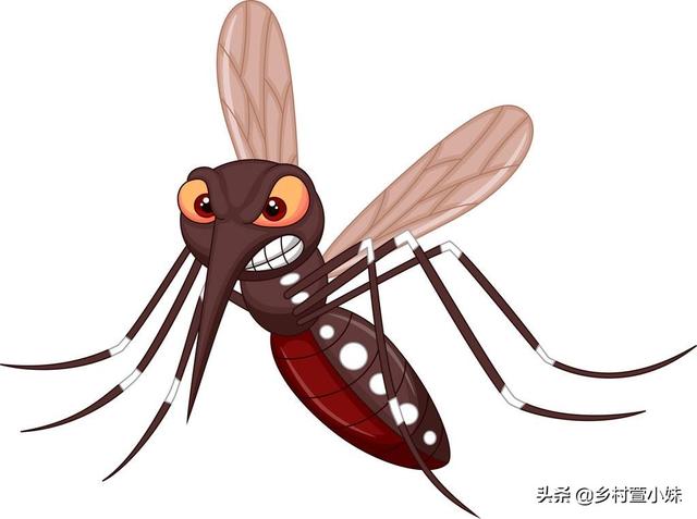蚊子有天敌没有？