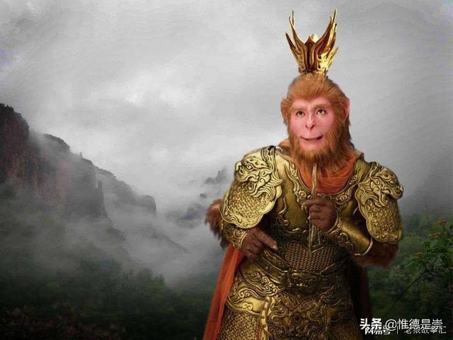 功夫猴子:为什么唐僧收孙悟空为徒，不教他功夫？
