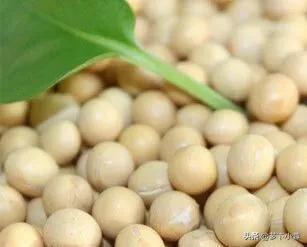 植物必需的营养元素:化肥中的氮、磷、钾对植物分别有什么作用？