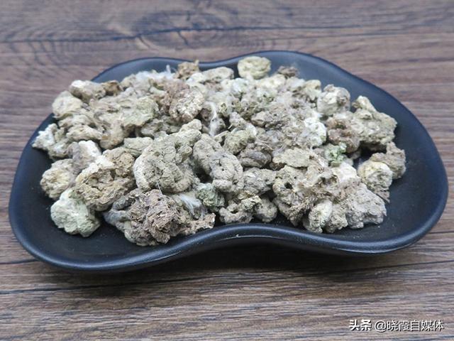 金琥仙人球价格表:刚换土的金虎仙人球能浇水吗？