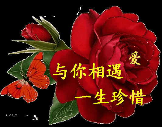 从来女士案件,大家对于婚姻家庭有什么感触？