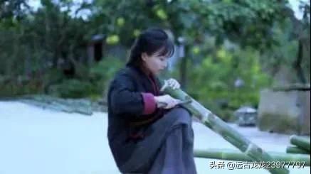 为什么感觉李子柒不如以前红了(李子柒为什么会这么火)