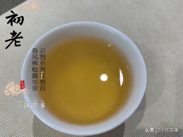 老白茶的好处,银针和老白茶有什么区别？