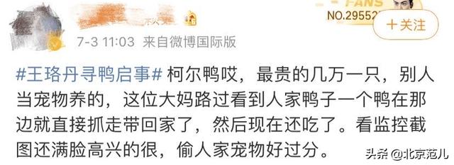 魔幻大陆明星宠物:王珞丹连发两条“找鸭”微博冲上热搜，关于这件事你怎么看？ 魔幻大陆怎么变异宠物
