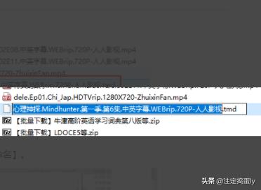 td文件怎么打开(td文件是什么)