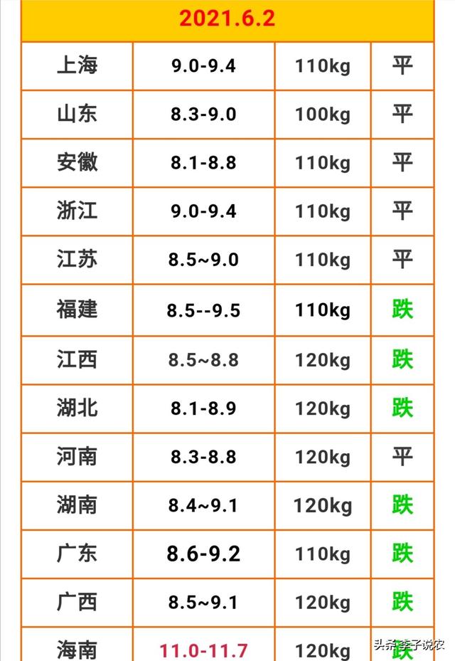 河南2019年4月活体獭兔价格:21年6月猪价还会上涨吗？