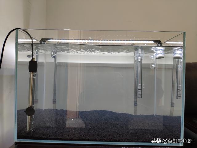 鱼缸如何检测水质:鱼缸里的水过肥或者过瘦，我们应该如何判断和处理？