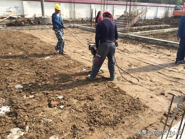 正常新坟几年长草,什么东西能让地里几年不长庄稼？