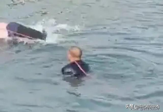 新几内亚歌唱犬灭绝半世纪:那些说自杀不应该救的是一种什么心态，难道自杀真的不应该救吗？