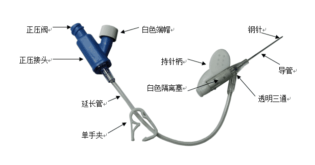 留置针的注意事项:留置针的注意事项有哪些 留置针是什么？你的感受如何？