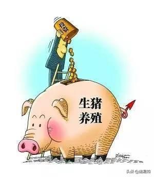 养一群微型猪是什么体验:养猪赚钱吗？小型养殖，十几只的样子。一年能赚多少钱？ 微型猪有什么特点