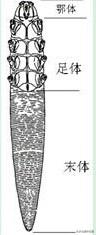 螨虫感染瘙痒怎么办:头发又油又痒的我，感染上了螨虫，该怎么办？有什么解决办法吗？