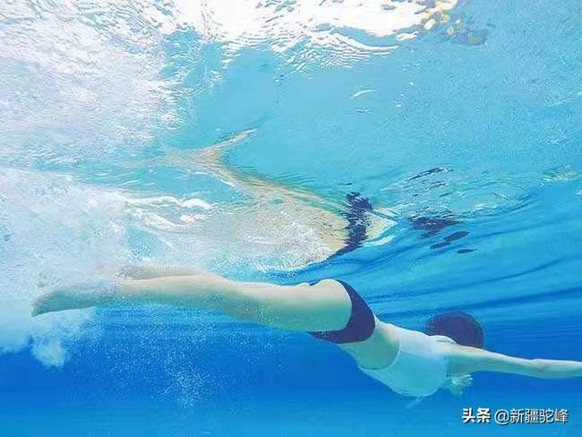 朱克 雪候鸟 视频:东北候鸟老人，冬天到海南去过，从养生角度来说，是对还是错？