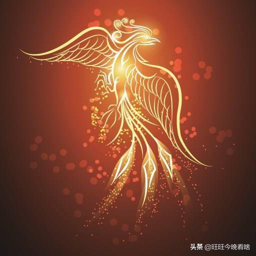 《西游记》中,为什么凤凰的地位那么尊崇？