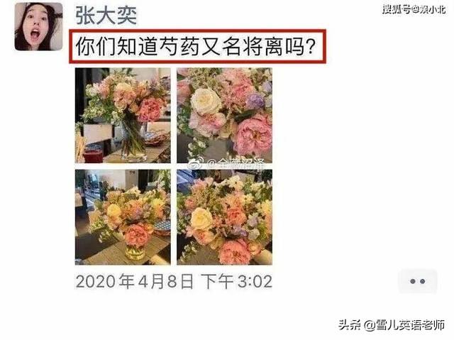 张大奕简介:张大奕被曝当小三，如何评价张大奕的服装品牌