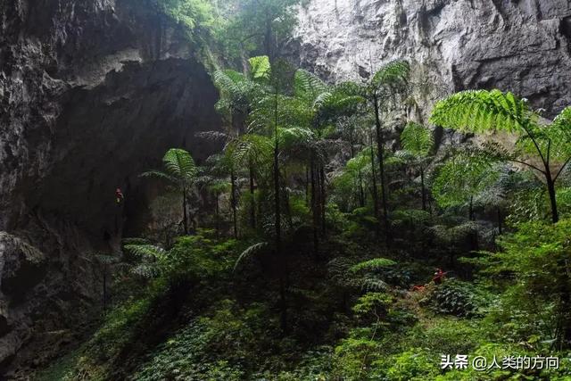 数学为什么没有列在四大天坑专业中？