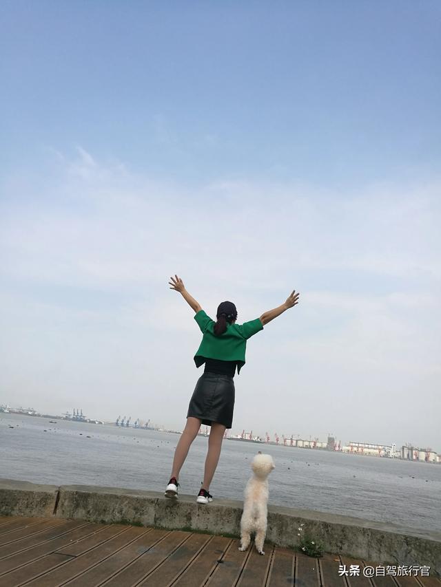 狗孩论坛大全:如果你被自己养的狗咬了，你还会再去养狗吗？为什么？