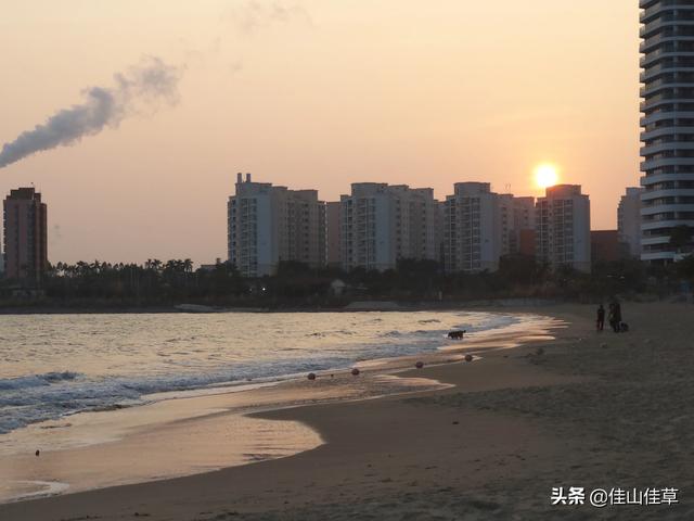 如何看待黄峥辞任拼多多董事长,将致力于食品科学和生命科学领域的研究？这一领域现状和前景如何？
