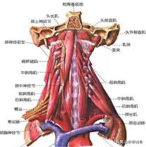 颈神经根炎的症状与治疗:颈椎椎间盘突出C3C4C5压迫神经根及硬膜囊是什么症状？