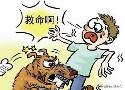 狗咬死小孩:河南鹤壁一儿童被狗活活咬死，涉案犬主人被刑拘，你怎么看？
