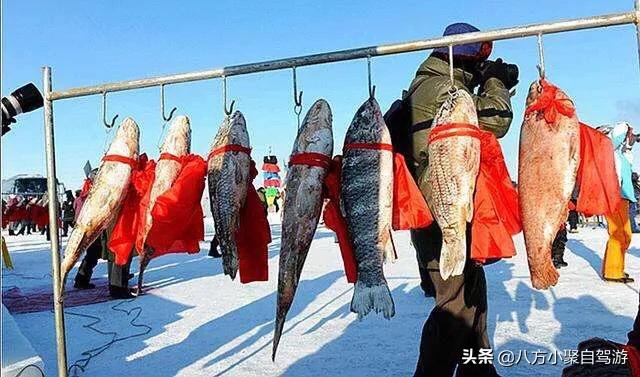 12月底上海自驾去达里湖观看冬捕,10天左右,求自驾攻略？