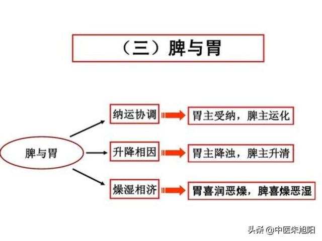 湿气自测表-湿气自测表 图片