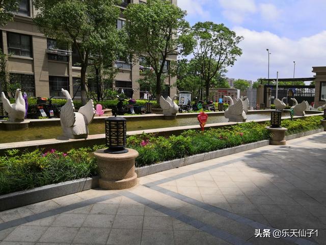北京确诊肺鼠疫新京报:北京爆发了疫情，未来房价走势会怎样？
