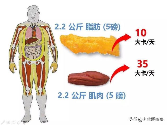 艾柏巴丽蒂:女生怎么从130斤瘦到100斤？