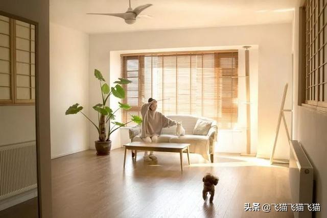 居家生活小窍门网站:家里有旧东西舍不得扔掉怎么办？