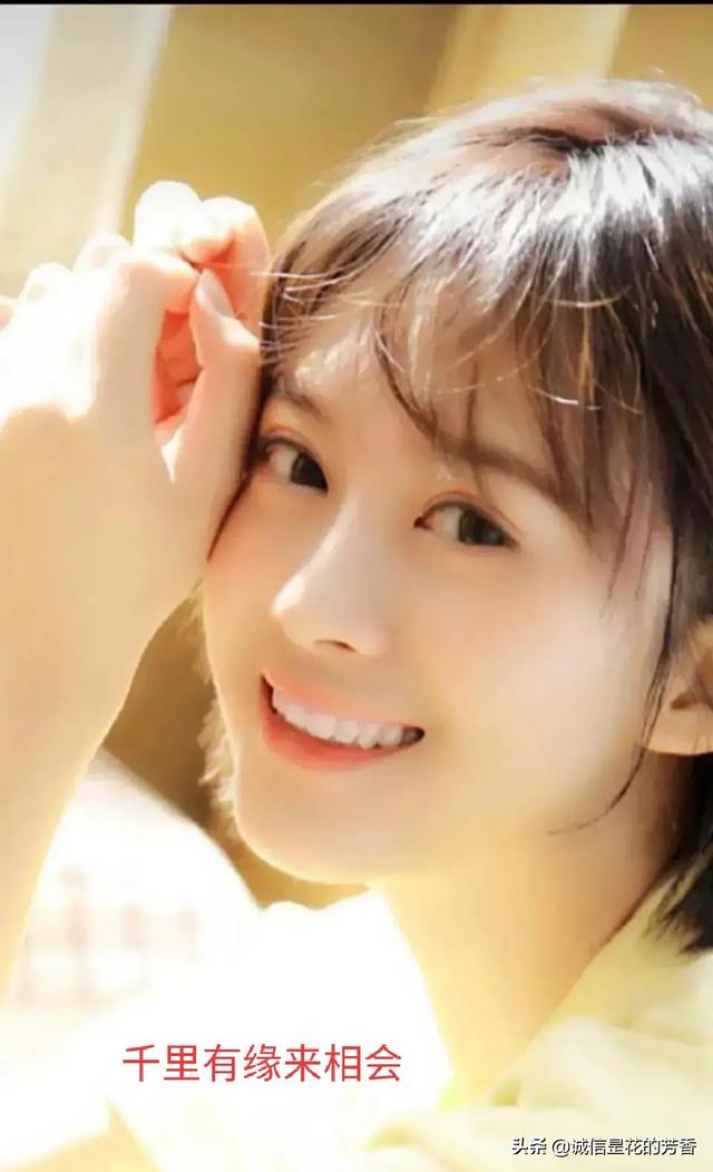 戴军何炅:《向往的生活》节目中需不需要增加一个会做饭的人？