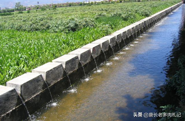 小区化粪池都建在哪里:你知道你家的小区化粪池在哪里吗？为什么？