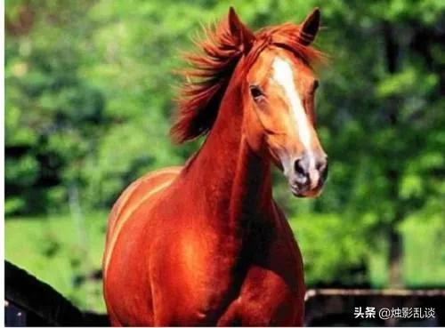 貂蝉是怎么死的:战神三宝：赤兔、方天戟、貂蝉，在吕布殒命后的最终归宿如何