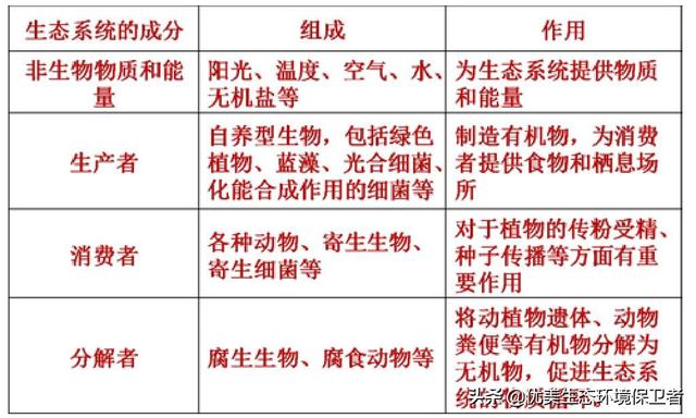 猞猁与人交尾:猞猁与人 为什么食肉动物繁殖率都很低，食草动物繁殖率这么高？