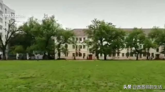 八一大桥灵异事件:南昌市八一桥桥头上放一白一黑两只猫，对城市或对人寓意着什么？