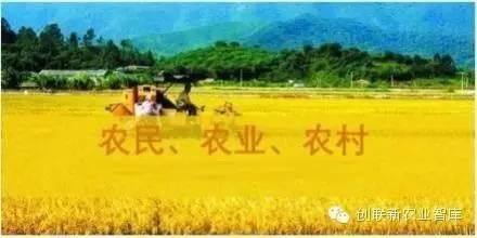 在头条上看见别人老是提到三农,这三农是指什么？