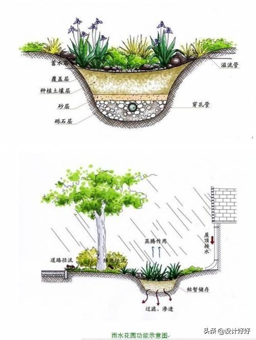 庭院设计的排水方案怎么设计能又省钱又省力呢？