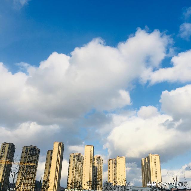 生活在青岛的您,幸福吗？您感受到的是碧海蓝天、灯光璀璨；还是实际生活的柴米油盐？