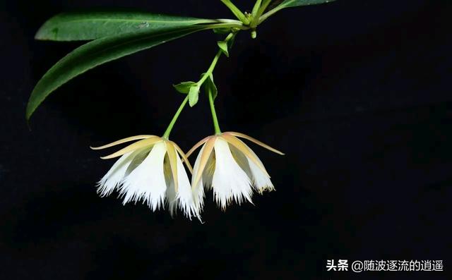 “旧时王谢堂前燕,飞入寻常百姓家。”这句诗说的是什么道理？