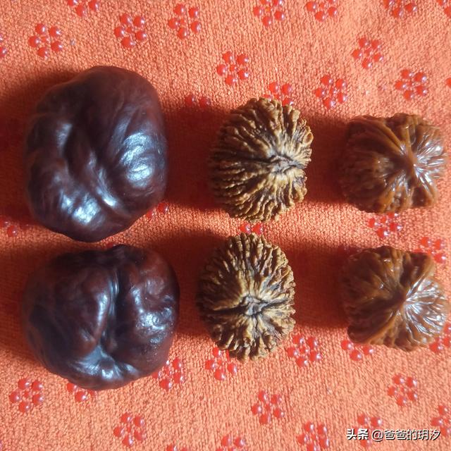 晒晒你的文玩宝贝。都是怎么保养的？插图50