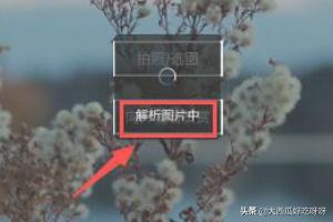 文件传输助手怎么用，微信中的传图识字如何使用