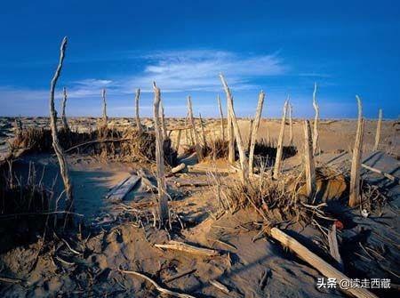 新疆一夜消失一个村，罗布泊是不是一个值得探险的地方