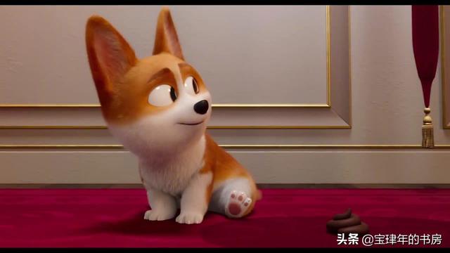 色狗狗电影:除了一条狗的使命、忠犬八公，还有哪些好看的主角是狗狗的电影？