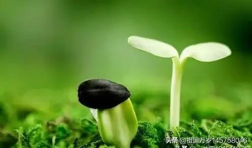 <a href=https://maguai.com/list/256-0-0.html target=_blank class=infotextkey><a href=https://maguai.com/list/256-0-0.html target=_blank class=infotextkey>朋友圈</a></a>名句配图:哪里有<a href=https://maguai.com/list/256-0-0.html target=_blank class=infotextkey><a href=https://maguai.com/list/256-0-0.html target=_blank class=infotextkey>朋友圈</a></a>触及心灵的现实<a href=https://maguai.com/list/46-0-0.html target=_blank class=infotextkey><a href=https://maguai.com/list/46-0-0.html target=_blank class=infotextkey>语录</a></a>？