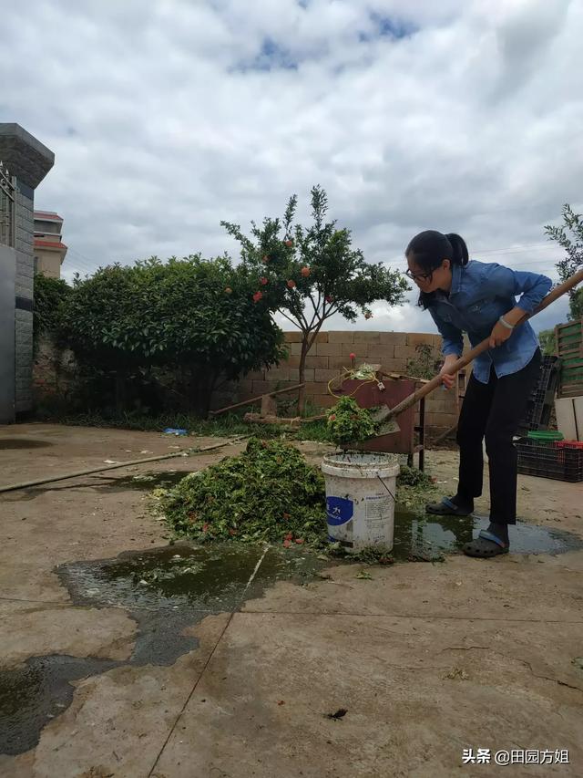 鸡中暑吃什么药见效快:中暑吃什么药见效快 天气热，鸡鸭可以吃什么？