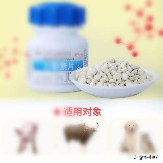 马杜霉素:马杜霉素具有什么作用 如何辨别鸡球虫病感染及如何防控？