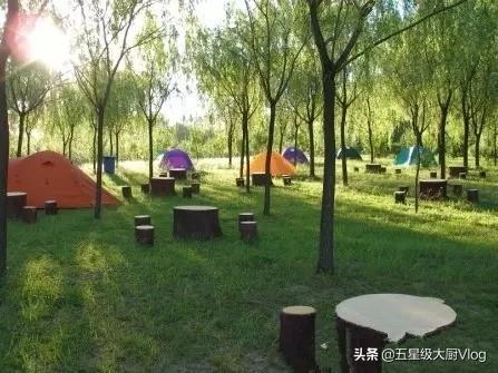 明天下午去烧烤,要准备哪些食材？
