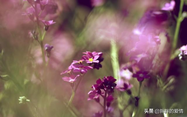 带有人生哲理的句子:有关人生哲理的经典句子？