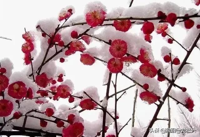 有道是:但求夕阳无限好，何须惆怅近黄昏。为什么一些人们还想不开？