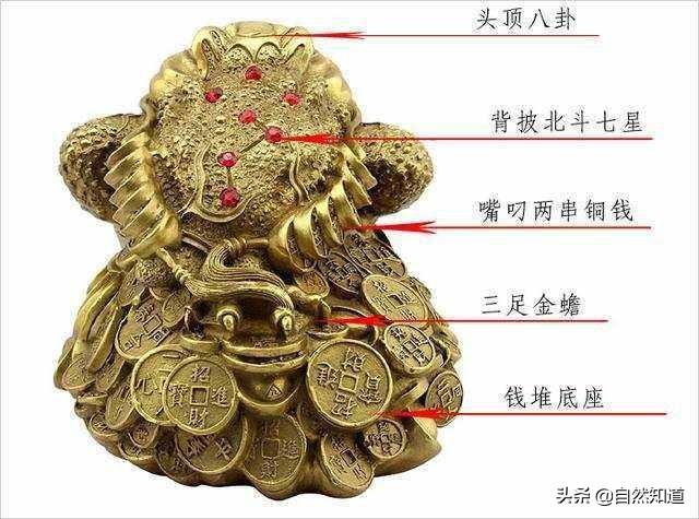 真的有金蟾这动物吗？
