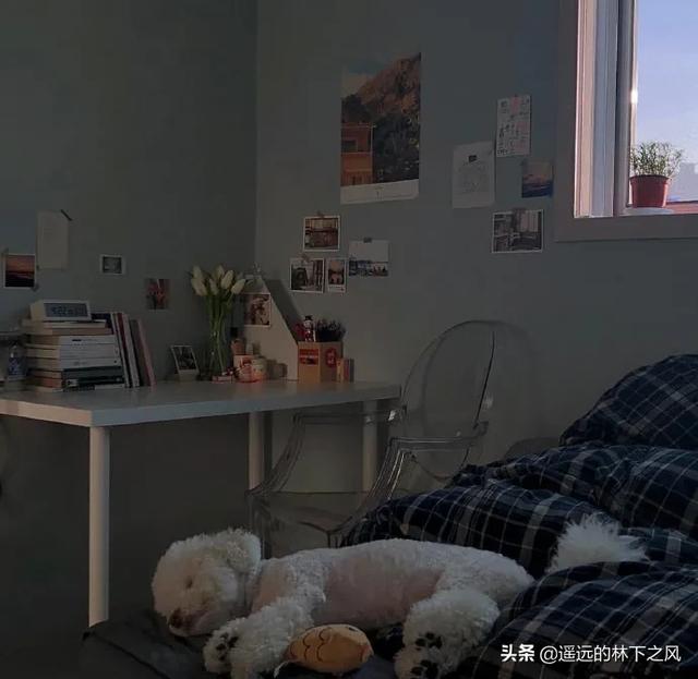适合发<a href=https://maguai.com/list/256-0-0.html target=_blank class=infotextkey>朋友圈</a>的短句子和图片:<a href=https://maguai.com/list/256-0-0.html target=_blank class=infotextkey>朋友圈</a>你最喜欢的句子是什么？